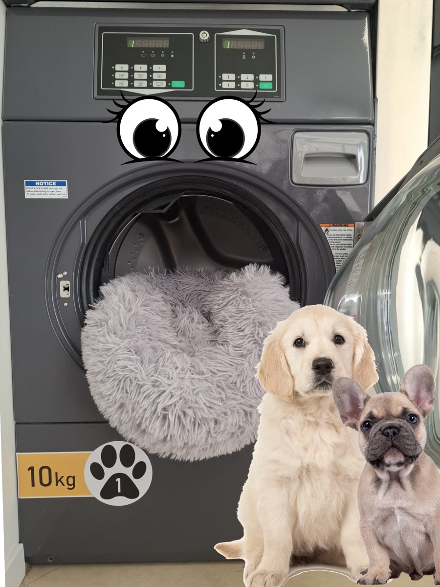La lavatrice PET da 10 kg di LAVACITY, riservata alle cose degli animali di casa, con dentro una cuccia in lavaggio e la targhetta 10 kg con l'impronta